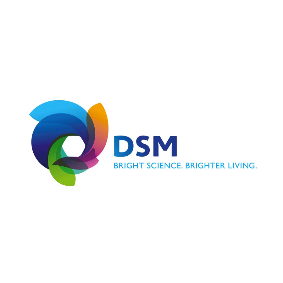 Mobile DSM